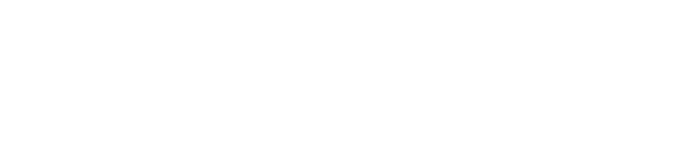 Logo White